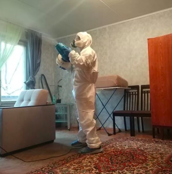 дезинсекция квартиры в Мурашах